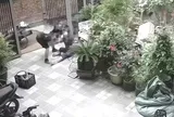 Phẫn nộ clip chồng đánh vợ dã man từ ngoài sân vào trong nhà