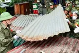 Bắt đầu tháo dỡ các hạng mục lấn chiếm quanh chợ cá tự phát lớn nhất Hà Nội