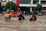 Từ ngày mai, miền Bắc xuất hiện mưa to đến rất to