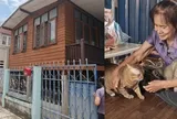 Bà lão 81 tuổi sống tằn tiện, dành tiền mua nhà hơn 800 triệu đồng cho mèo hoang