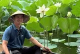 Ngắm bông sen “sinh đôi” hiếm thấy ở Huế, hé lộ nghề kiếm tiền triệu từ sen