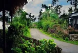 Ngôi làng nổi tiếng sạch sẽ, đóng cửa Chủ nhật để dân nghỉ ngơi