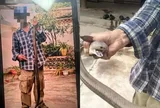 Bị rắn độc cắn vẫn chụp ảnh, người đàn ông 58 tuổi 'chật vật' thoát cửa tử