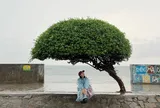 Cảnh báo du khách đi Phú Quý đầu tháng 7