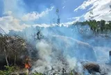 Đà Nẵng: Phát hiện một thi thể sau khi dập tắt đám cháy rừng