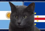 Mèo "tiên tri" dự đoán thế nào về kết quả trận Argentina vs Cape Verde?