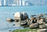 Khách vô tư bẻ san hô ở Hòn Chồng (Nha Trang)