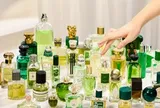 Review bộ sưu tập 39 chai nước hoa tông xanh: Mùi hương nào đáng đầu tư nhất cho bạn?