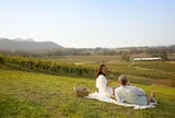 3 tọa độ đẹp say lòng người ở New South Wales không thể bỏ lỡ khi đến Australia