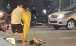 [Clip] Thót tim cảnh cá sấu 'dạo chơi' trên đường giữa trung tâm TP.Đồng Nai