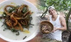 Khách Nhật ghen tị với món bán đầy chợ quê Việt Nam giá chưa tới 100.000 đồng/kg, trong khi ở quê anh loại tương tự đã mất 96% sản lượng tự nhiên