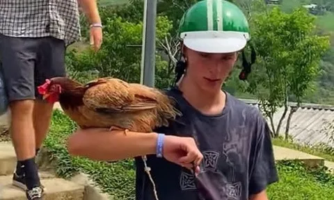 Khách Tây hài hước ôm gà như đại bàng tại Hà Giang
