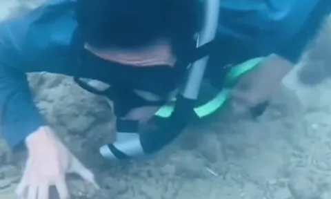 Nhắc nhở TikToker lặn ngắm san hô ở Nha Trang
