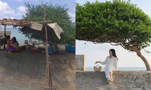 Không nhận ra Phú Quý, Vũng Tàu qua lịch sử ảnh Google Maps