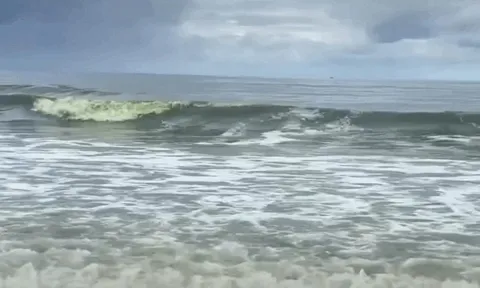 Nước biển Vũng Tàu 'xanh như matcha' gây bất ngờ