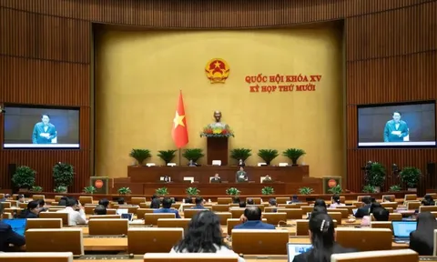 Ngày 11/11, trình Quốc hội dự án Luật Phòng, chống ma túy (sửa đổi)