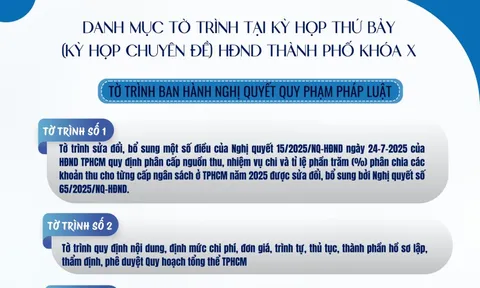 Danh mục 28 tờ trình dự kiến tại Kỳ họp thứ 7 HĐND TPHCM khóa X