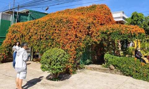 Căn nhà đang "nổi như cồn" ở Lâm Đồng