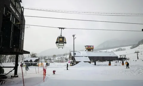 Du khách tử vong khi ba lô vướng vào cáp treo tại Nhật Bản