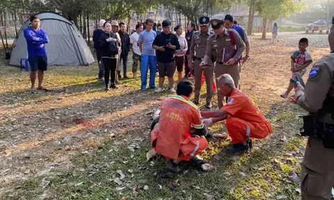 Voi hoang dẫm chết du khách tại Thái Lan