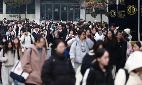 3 ngành học sẽ trở thành "mỏ vàng" trong 5 năm tới, AI khuyên tìm hiểu ngay