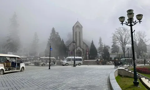 Chuyên gia chỉ nguyên nhân cốt lõi khiến Sa Pa hầu như hết tuyết