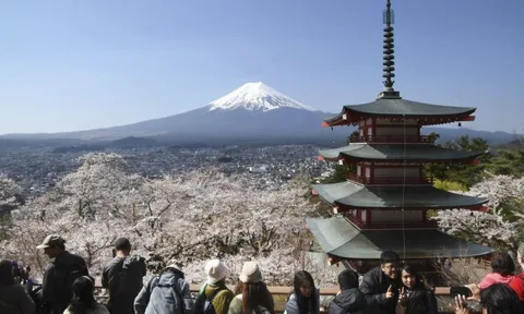 Nhật Bản hủy lễ hội hoa anh đào ngắm núi Phú Sĩ