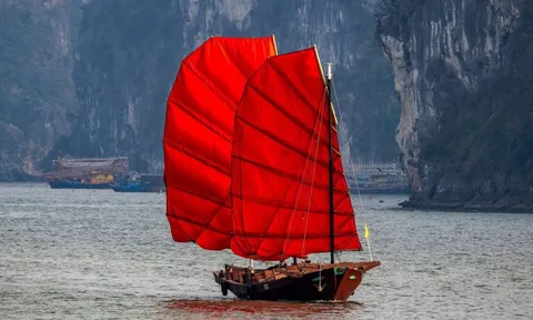 Thuyền buồm hiếm thấy trên vịnh Hạ Long