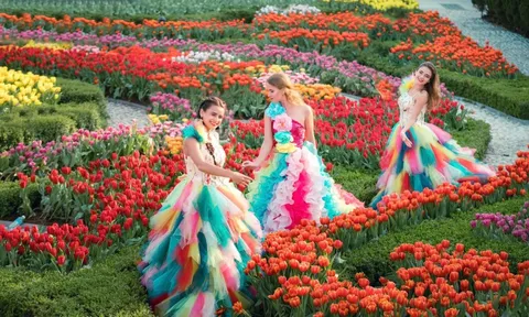Bà Nà tự ươm trồng 1 triệu bông tulip cùng 36 giống hoa mừng Tết 2026