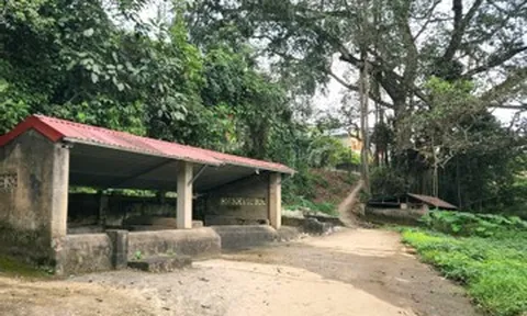 Cả làng ở Thanh Hóa bảo vệ giếng cổ, Tết đến lại ra lấy nước cầu may