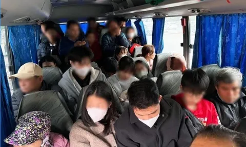 Bất ngờ với số tiền phạt sau 50 tin nhắn gửi tới Cục trưởng Cục CSGT