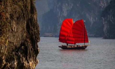 Tạm dừng chạy thuyền buồm đỏ hiếm thấy trên vịnh Hạ Long
