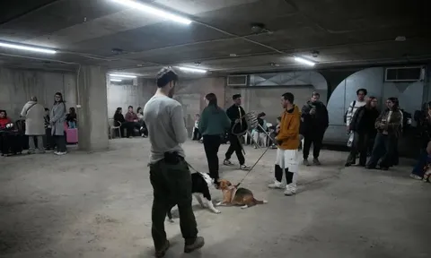 Việt Nam khuyến cáo khẩn cộng đồng người Việt tại Israel