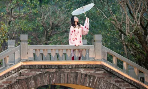 Thung Ui gây tranh luận