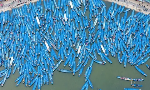 Thêm lái đò chùa Hương bị đình chỉ vì chửi khách