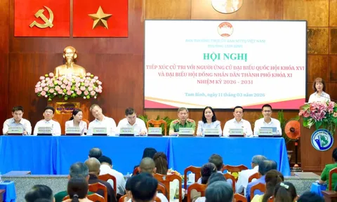 Cử tri phường Tam Bình -TPHCM kiến nghị xử lý ô nhiễm rạch Gò Dưa