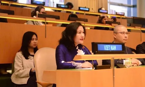 Việt Nam cam kết thúc đẩy quyền tiếp cận công lý của phụ nữ tại LHQ