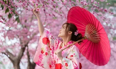 Lưu ý: Năm nay hoa anh đào Nhật Bản nở sớm