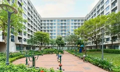 Đề xuất vợ chồng thu nhập không quá 50 triệu đồng/tháng được mua nhà ở xã hội