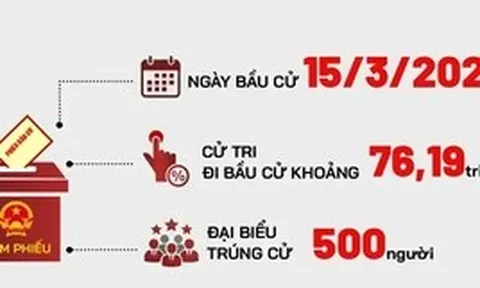 Toàn cảnh cơ cấu 500 đại biểu Quốc hội khóa XVI