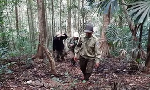 "Báu vật" Chư Mom Ray giữa đại ngàn Tây Nguyên