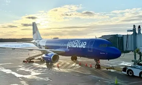 Máy bay quay đầu khẩn cấp sau va chạm với chó sói trên đường băng