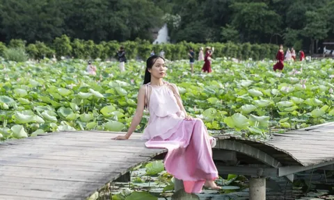 Hang Múa Ninh Bình tăng giá vé từ 1/4