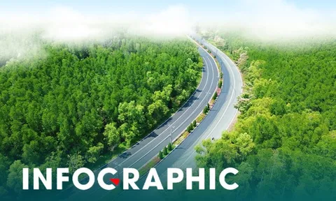 Những điều runner cần biết khi chạy 'xuyên rừng, chạm biển' ở Cần Giờ