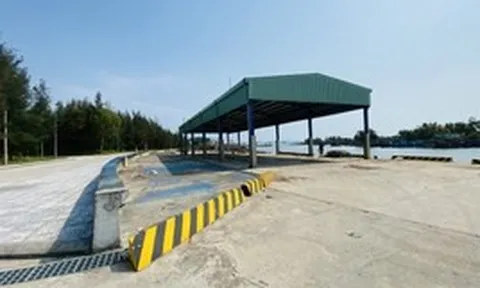 Vì sao cảng cá 120 tỷ ở Đà Nẵng xây xong 'chỉ để ngắm'?