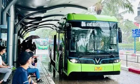 Đề xuất 3 phương án miễn phí xe buýt cho người dân TP.HCM