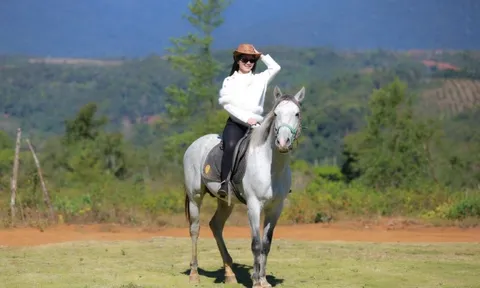 Sắp cạn phòng khách sạn, homestay tại Măng Đen dịp 30/4