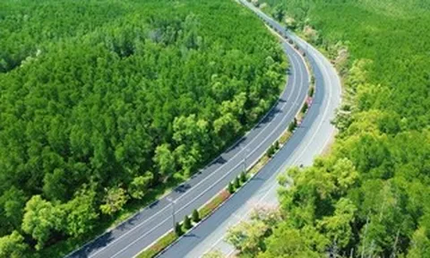 Một tuyến đường đang "đốn tim" giới trẻ TPHCM