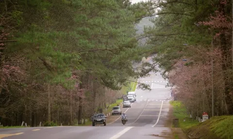 Nữ du khách Pháp gãy chân khi đi xe máy ở Măng Đen