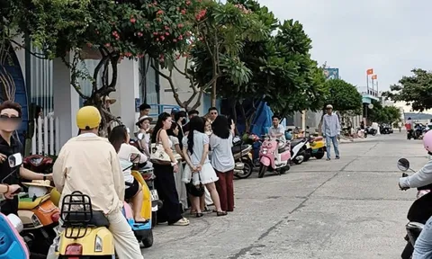 Xếp hàng check-in 'cây cô đơn' trên đảo Phú Quý